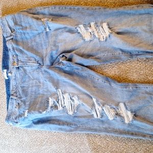 Lane Bryant jeans